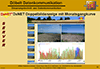 DxNET Doppelbild-Anzeige mit Monatsgangkurve